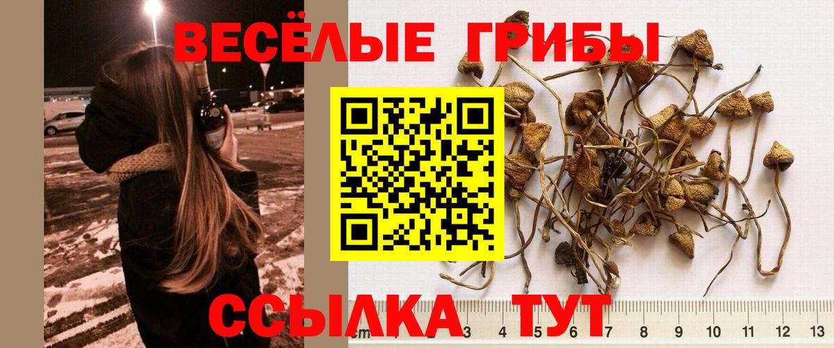 Псилоцибиновые грибы мухоморы  Вход с VPN  Конаково 