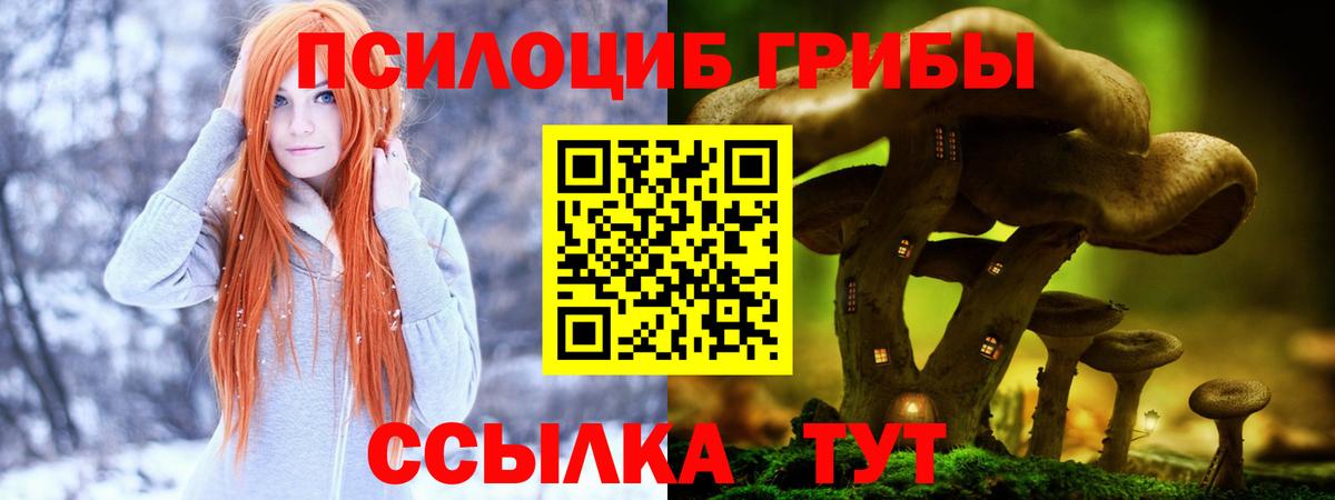 Псилоцибиновые грибы MAGIC MUSHROOMS Конаково