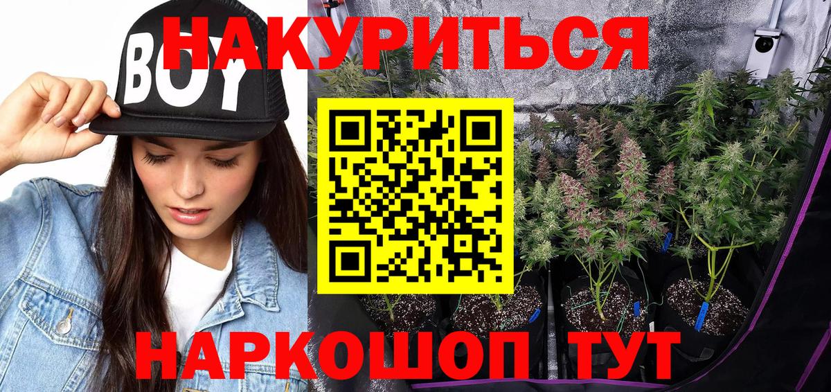 Конаково  Бошки марихуана планчик  Марихуана Ganja  Вход с VPN  Марихуана Amnesia  Конопля план 